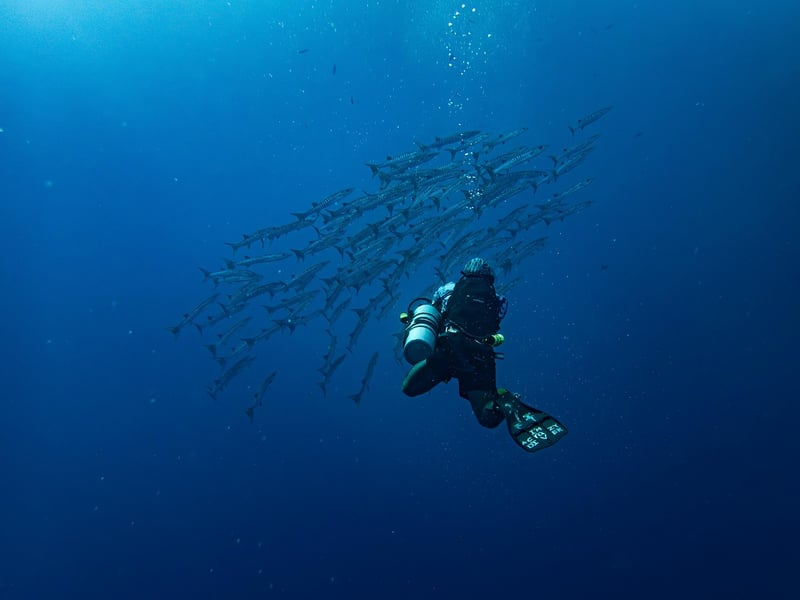 Diver underwater